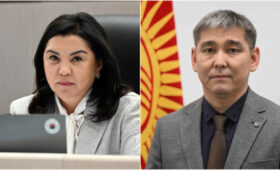 Депутат призвала и.о. министра здравоохранения усилить первичное звено системы здравоохранения