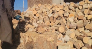 Жители Афганистана просят власти обуздать цены на уголь и дрова