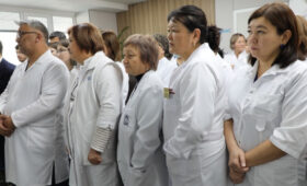 Почему в Нарыне не хватает врачей: Главные причины и цифры» />