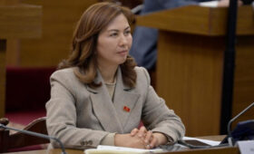 Депутат призвала решить вопрос зарплат научных сотрудников Центра онкологии