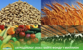 Призовой фонд форума «Агродиалог 2026» составит один миллион сомов