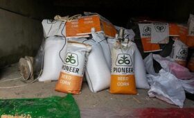 В Чуйской области начали пресекать продажу контрафактных удобрений