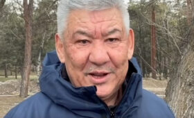 Бекназаров выступил против инициативы о досрочных президентских выборах