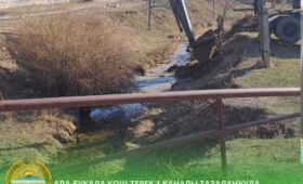 В Ала-Буке готовят канал Кош-Терек 1 к поливному сезону