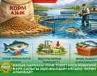Кыргызстан планирует поддержать производителей рыбных кормов на госуровне