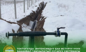 В Токтогуле внедряют интенсивное садоводство на засушливых землях