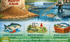 В КР продлили налоговые льготы для рыбных хозяйств до конца 2026 года