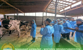 Фермеров Ошской области обучили современным методам животноводства