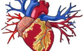 «Сердце сбилось — само пройдет?» Почему аритмии нельзя игнорировать. Истории кардиолога Дамирбека Осмонова