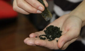 До 80% случаев рака рта и гортани связаны с насваем, — специалисты