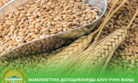 В Кыргызстане запустили цифровую систему выдачи аграрных дотаций