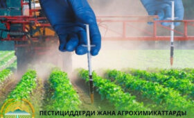 Регистрация пестицидов в Кыргызстане полностью переходит в «цифру»