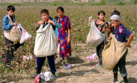 В Узбекистане детям фермеров снизят стоимость обучения в аграрном вузе