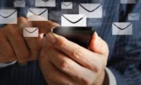 Фейковая кампания против Ташиева завершилась бегством провокаторов