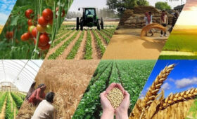 Сельхозпродукция Кыргызстана покоряет рынки более 80 стран мира