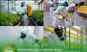 Кыргызстан резко сократил импорт саженцев