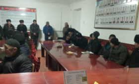 Фермеры Ноокатского района делает ставку на «Вирджинию»