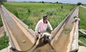 Узбекистан вводит двойной налог за нерациональное использование воды