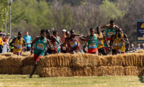 Кыргызстанцы выступят на чемпионате Азии по кроссу в Японии