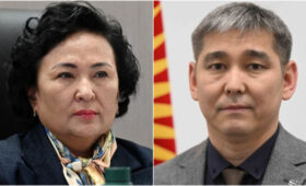 Депутат — главе Минздрава: В министерстве существует «болото» коррупции. Не затянет ли оно вас?