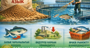 В КР продлили налоговые льготы для рыбных хозяйств до конца 2026 года