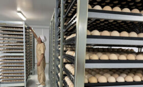 Бакыт Торобаев проверил расширение птицекомплекса «Агрокуш»