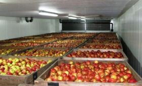 В Кыргызстане запустят масштабный проект по строительству холодильных камер