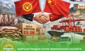 Восьми предприятиям Кыргызстана разрешили экспортировать продукцию в Китай