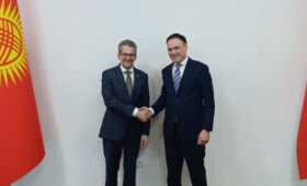 Кыргызстан и Швейцария обсудили итоги реализации проектов в сфере здравоохранения и перспективы их развития