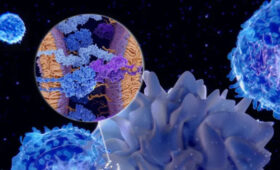 Раскрыт простой способ снизить риск смерти при раке