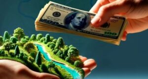 Кыргызстанцев призывают быть бдительнее при покупке земельных участков