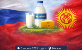 Ведущие производители молока стран СНГ соберутся в Москве 6 апреля