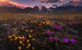 Готов ли Кыргызстан к «великому обнулению» безопасности?