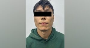 В Аламединском районе во время выпаса скота украли две овцы