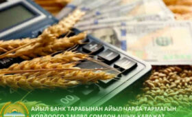 Фермеры КР могут получить до 5 млн сомов на развитие хозяйства