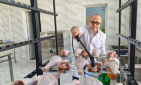 В Казахстане создали биопокрытие, продлевающее свежесть мяса в три раза