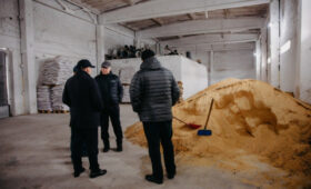 В Кыргызстане проверяют качество отечественных кормов для рыб