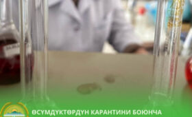 Почти 3000 образцов сельхозпродукции прошли проверку в лабораториях КР