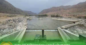 Кыргызстан и Узбекистан восстановили ирригацию в Кара-Суйском районе