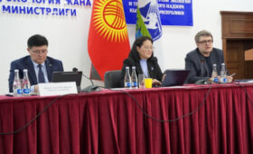 Кыргызстан представит ООН национальный доклад о сохранении биоразнообразия