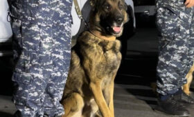 В Бишкеке усилены меры по противодействию незаконному обороту наркотиков