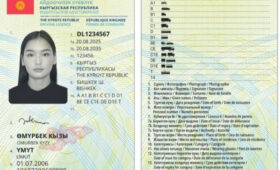 Власти Кыргызстана ответили на критику новых водительских прав