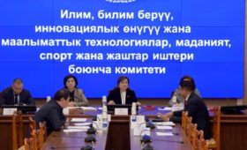 Комитет ЖК рассмотрел поправки в закон о физической культуре и спорте