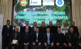 В Бишкеке подписаны соглашения о восстановлении лесов на площади 2500 га