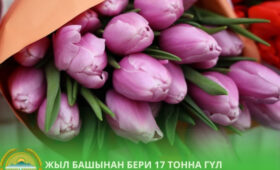 Экспорт цветов из Кыргызстана вырос почти вдвое за последний год