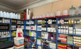 Масштабная инспекция ветеринарных аптек в Кыргызстане не выявила нарушений