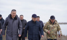 Глава Минсельхоза проинспектировал ирригационные объекты Чуйской области