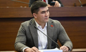 Депутат предложил учитывать годы выступлений за сборную в трудовой стаж спортсменов