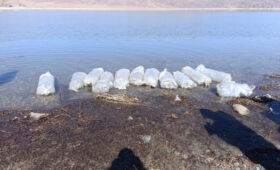 В Орто-Токойское водохранилище выпустили более миллиона мальков сиг-лудоги