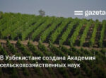 В Узбекистане учреждена Академия сельскохозяйственных наук